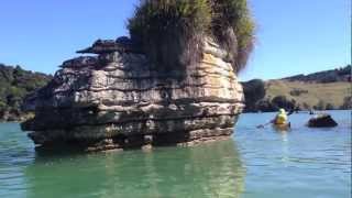 preview picture of video 'Raglan Paddle - Waikato kayak trip from Paddler.co.nz'