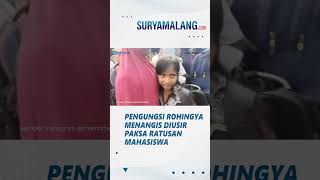 Tangis Pengungsi Rohingya Pecah, Diangkut Paksa Mahasiswa ke Truk Menuju Kantor Kemenkumham Aceh