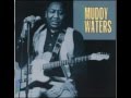 Sad sad day - Muddy Waters 