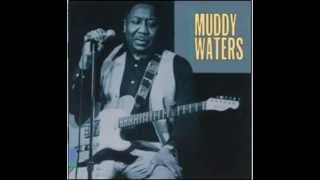 Sad sad day - Muddy Waters
