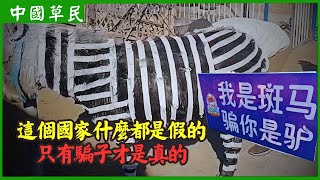 Re: [閒聊] 中國的拼好飯是什麼東西？