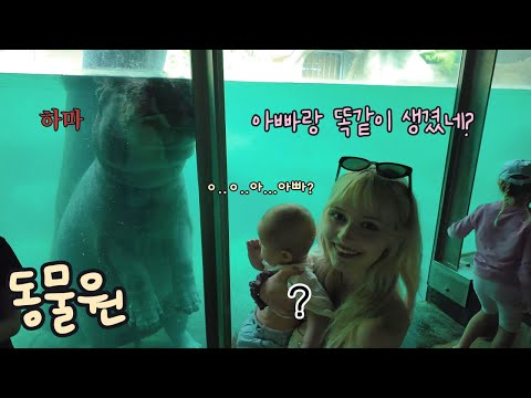 하루라도 서로를 놀리지 않으면 입이 근질근질한 국제커플