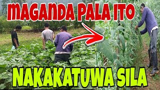Simula Narin Sila|Buhay Hardinero