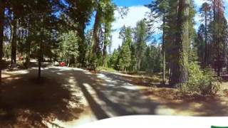Crane Flat Campground Video