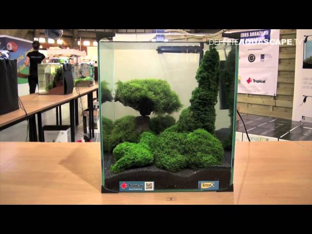 Aquascaping - Aquarium Ideas from ZooBotanica 2012, part 8