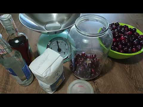 Domáca griotka,homemade liqueur Griotte,sour cherry liqueur