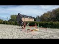 Mustang de Vima - Hongre de 4 ans