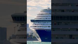 Carnival Horizon 🛳️ #share #yt #subscribe #comment #cruise #vacation #shortvideo #shortsvideo #fun