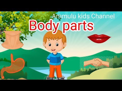 Learn body parts