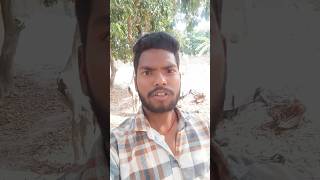Janta darbar Tuntun yadav ka new song #shorts #reels #viralvideo #bhojpuri