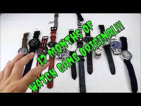 Full 12 Month Review: Is the $29.99 Watch Gang Regular Tier worth it?