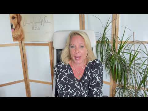 Dein Hund spiegelt dich