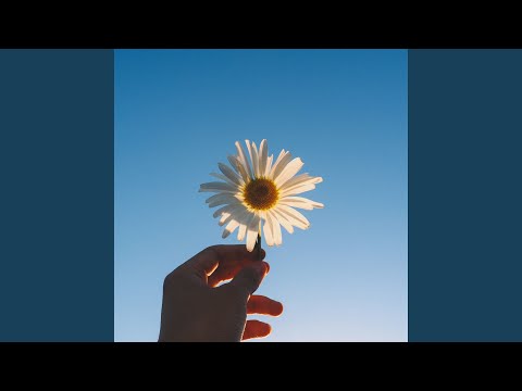 Melodia Suave (Fundo Musical Instrumental)