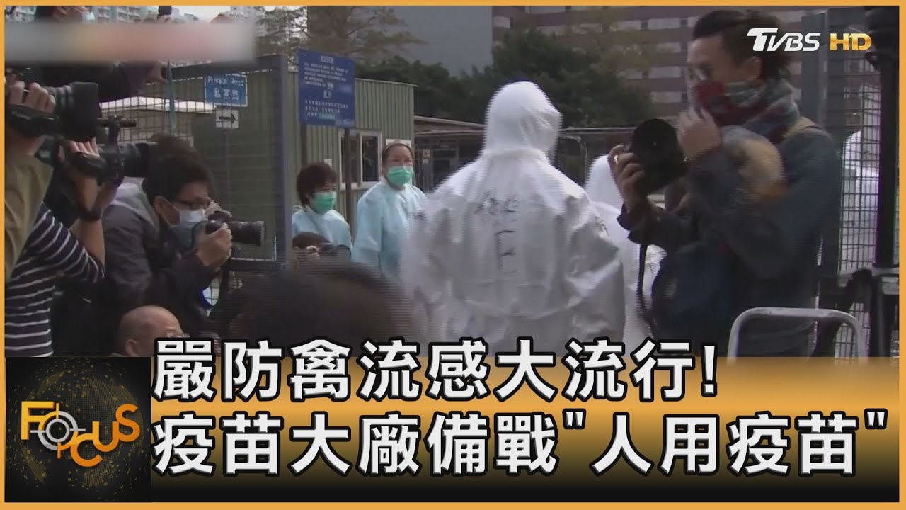嚴防禽流感大流行!疫苗大廠備戰「人用疫苗」