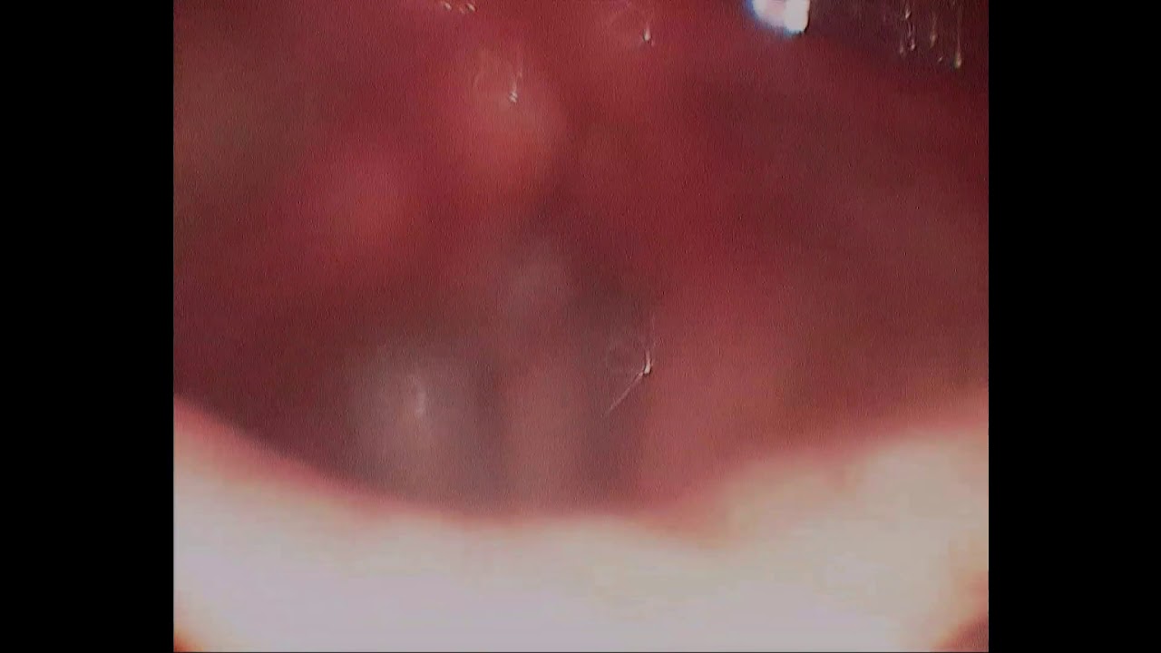 Carlos Alberto Silva Torres-7