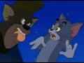 Tom And Jerry The Movie 1992 What Do We Care In Hindi
