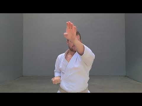 Karate Moves | HAITO UCHI - RIDGEHAND STRIKE