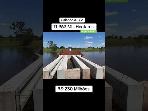 Fazenda 11.963 Mil Hectares - Goiás