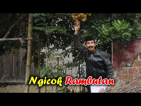 NGICOK RAMBUTAN || KOMEDI MADURA