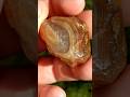 Shadow Floater LSA #agate #crystals #quartz #rocks #geology #rockhounding
