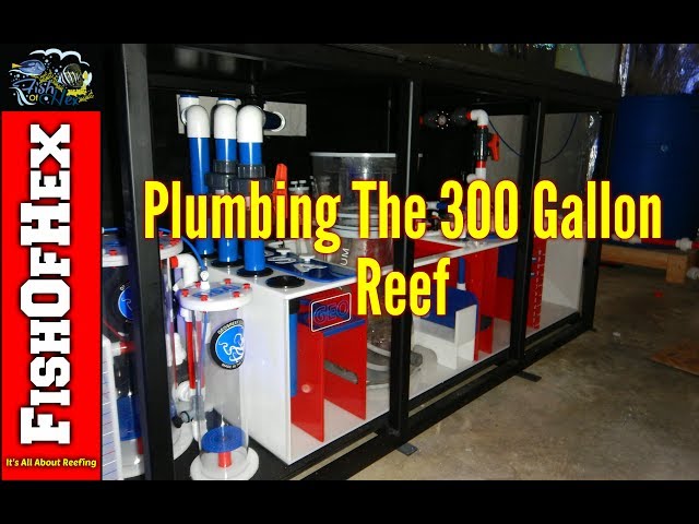 Plumbing The 300 Gallon Reef Tank