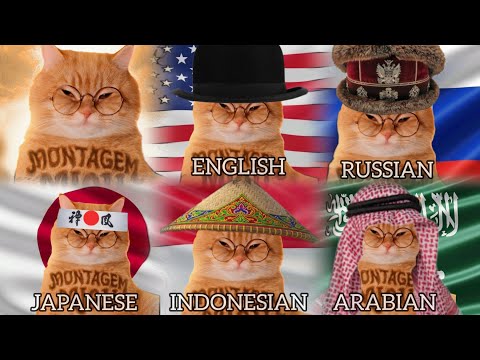 Montagem Miau in different languages | Translate versions 