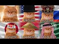 Montagem Miau In Different Languages Translate Versions
