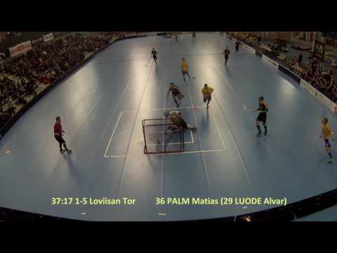 Maalikooste Welhot - Loviisa 11.2.2017