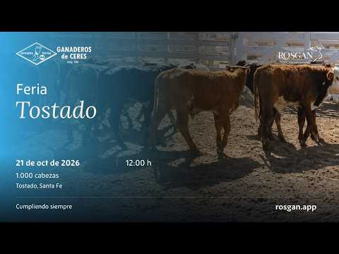 Feria Tostado | Tostado, Santa Fe