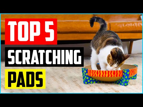 Top 5 Best Scratching Pads For Cats of 2021 Review