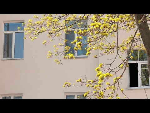 Жировки в электронном виде начали рассылать гомельчанам видео