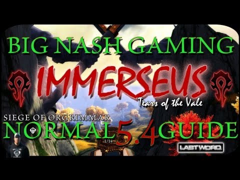 Immerseus Raid Guide