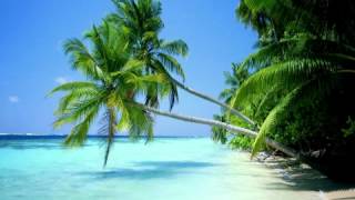 Sacha Distel "La belle vie" Remix