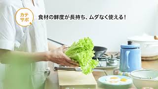 夏至の日は冷蔵庫の日2026｜最新の冷蔵庫なら省エネ性能や鮮度保持機能、大容量収納などの進化でサポート