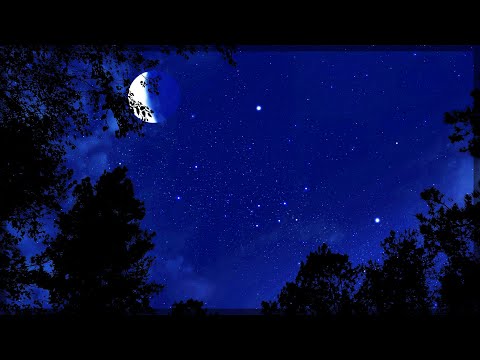 Cricket Conversations | Binaural Nighttime Ambience | 10 Hours of Crickets | Nature Sleep Sounds