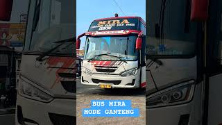 Download lagu MIRA BUS HANDSOME MODE 🚀📍 #automobile #shortsvideo #Mira #busmira #storywa #pov mp3