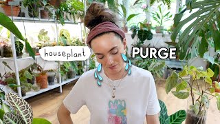 Clearing Out + Getting Rid of Plants 🌿