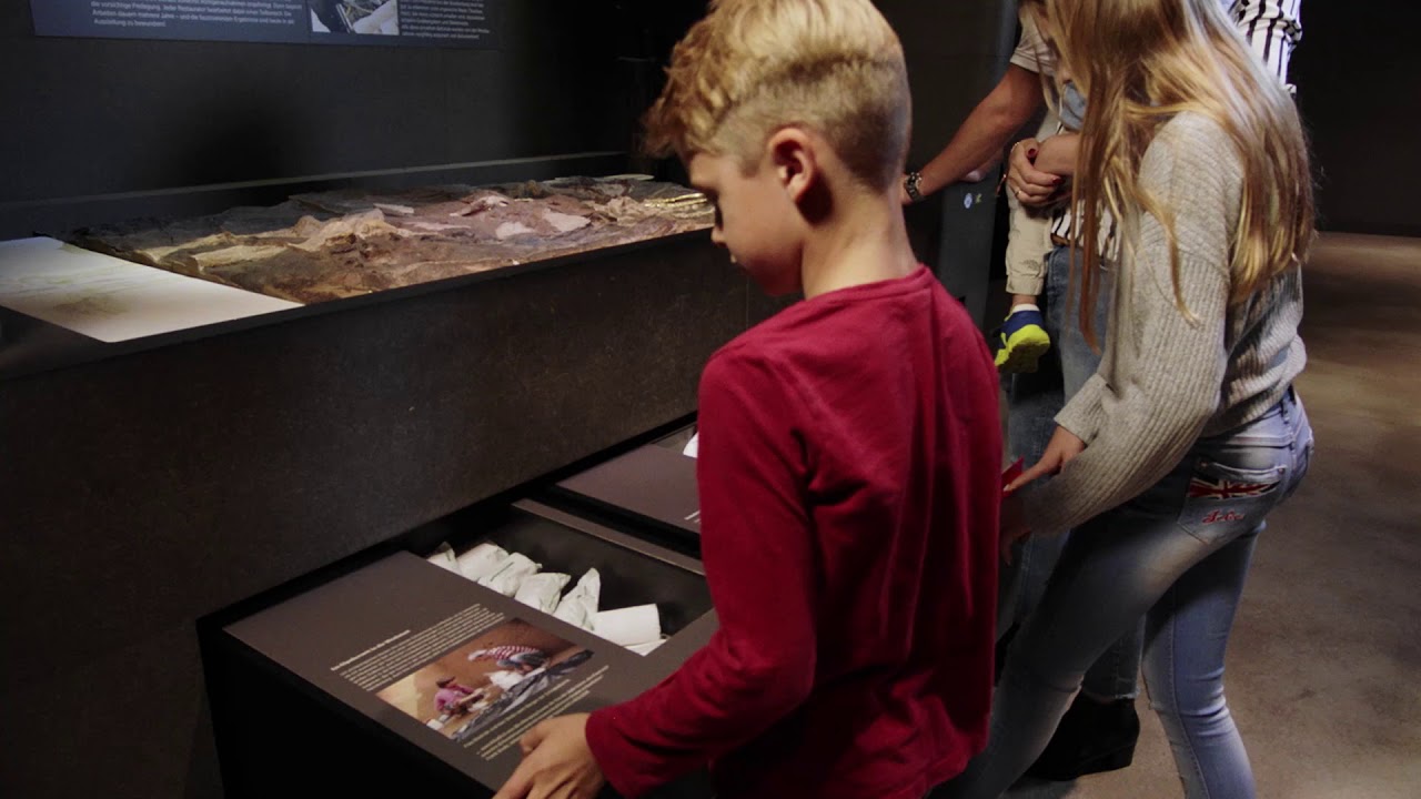 YouTube Video Thumbnail