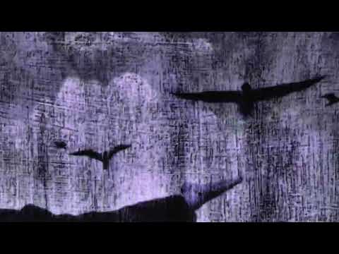 Flawed Mangoes - Missing Pieces (Slowed) [Visualizer]