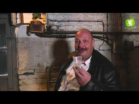 Made in Flandre #10 : Le genièvre de la distillerie Persyn à Houlle