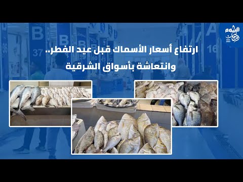 قبل العيد.. ارتفاع أسعار أسماك سوق القطيف الحضاري في الشرقية