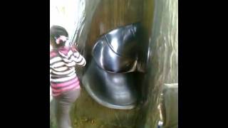 preview picture of video 'Bronx Zoo, Children Zoo the Tree Slide'