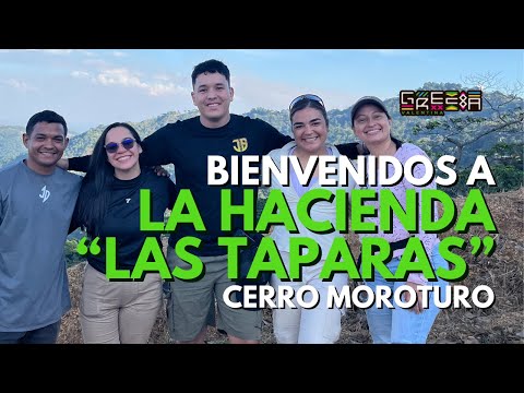 ¿SE SIEMBRA CAFÉ EN EL ESTADO PORTUGUESA? - Cerro Moroturo, Hacienda "Las Taparas"👀💚🔥