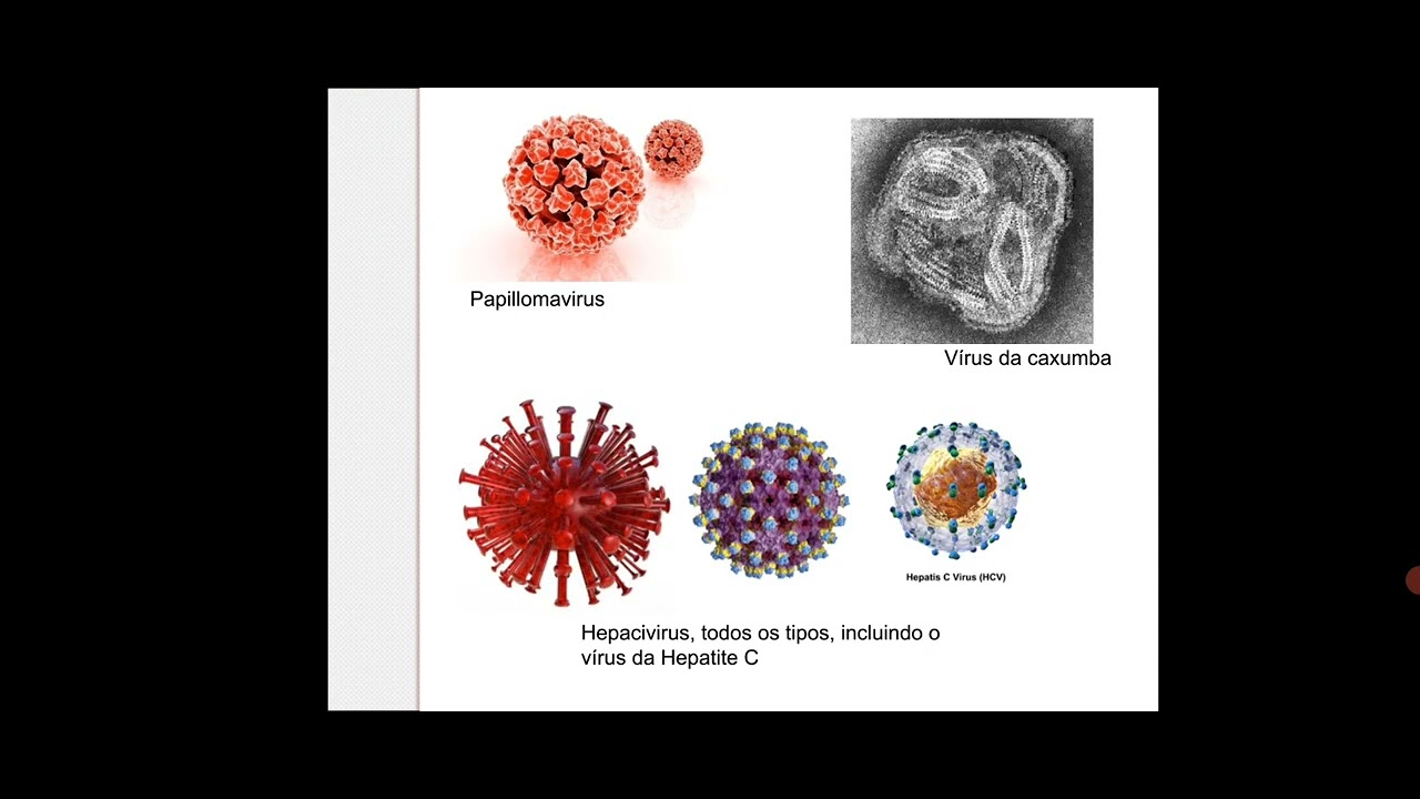 Biossegurança - Riscos biológicos
