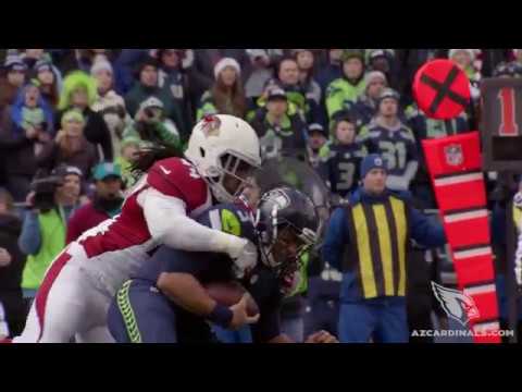 Cardinals Chronicles - Markus Golden