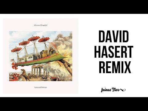 Johannes Klingebiel - Latewood (David Hasert Remix) (FT003)