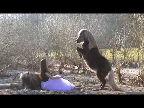 You belong to the wild🌿