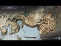 Barney Watson S Diary Part 2 Location Throne And Liberty