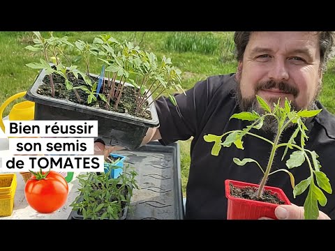 Comment réussir son semis de TOMATES 🍅 (puis le repiquage) 『TUTO』
