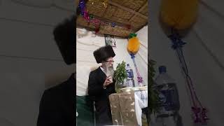 הרב אליהו גודלבסקי | סוכות גדרה.